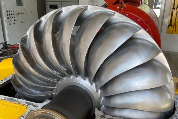 WhatsApp Image 2025-03-14 at 8.41.34 PM (13)