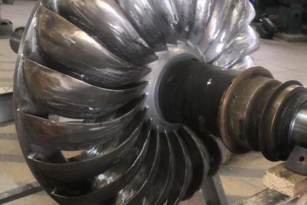 WhatsApp Image 2025-03-14 at 8.41.34 PM (18)